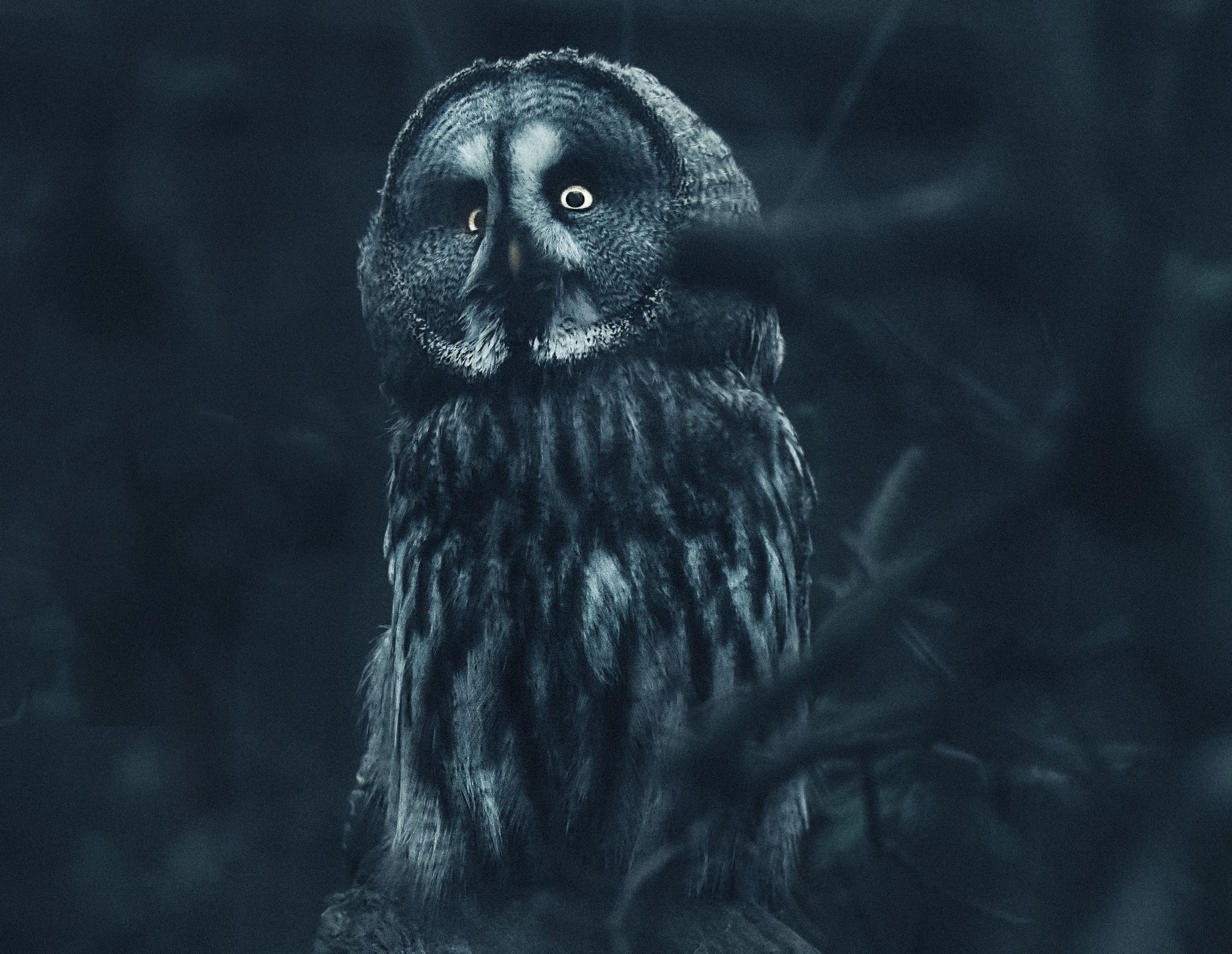 Grauzonen In Der Altenpflege B Institut Ruth Mischnick